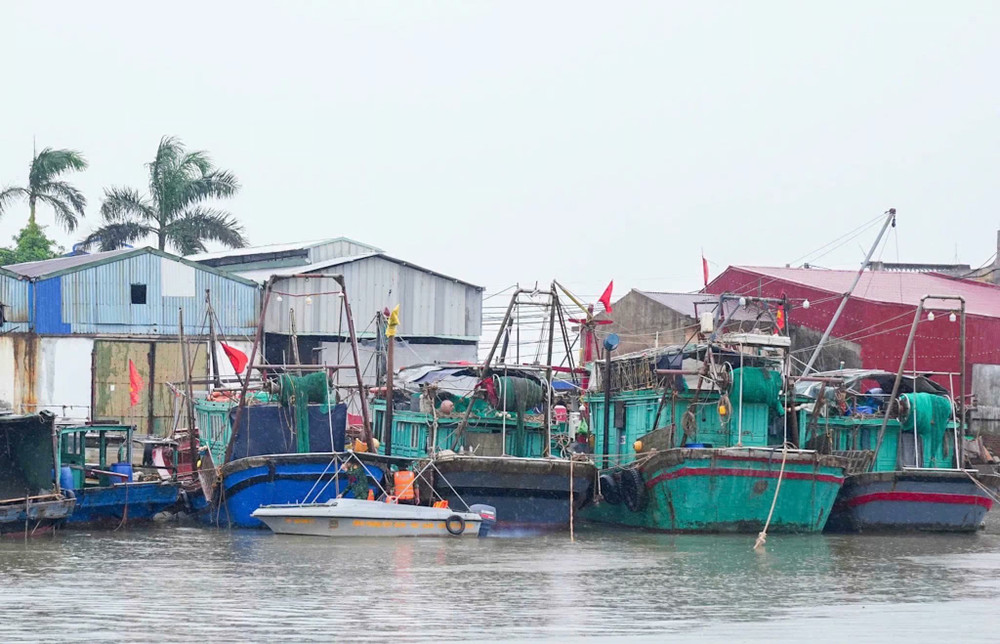 Tàu thuyền neo đậu tại cảng cá Ngọc Hải, phường Đồ Sơn. Nguồn: Cục Quản lý đê điều và Phòng, chống thiên tai - Bộ Nông nghiệp và Môi trường.