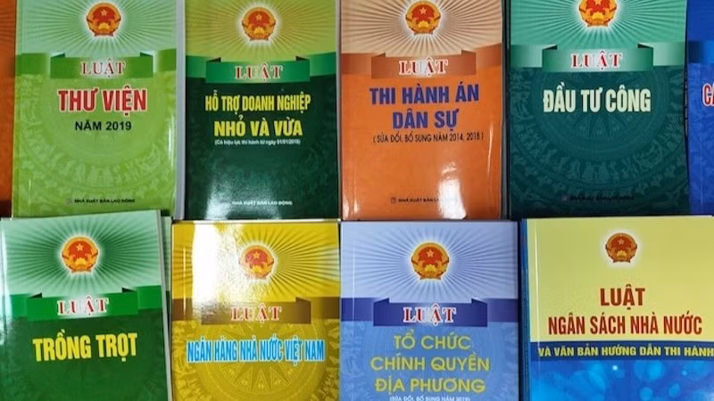 Nâng cao chất lượng kiểm tra, rà soát văn bản quy phạm pháp luật. (Ảnh minh hoạ. Nguồn: TT)