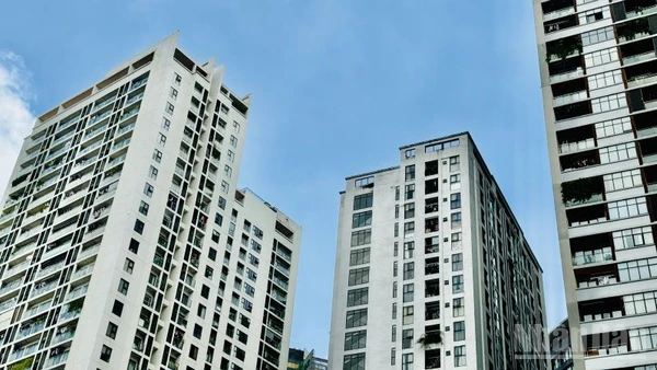 Động lực thúc đẩy thị trường chính là nhờ nỗ lực quyết liệt của Chính phủ trong tháo gỡ "điểm nghẽn" pháp lý. (Ảnh: HNV)