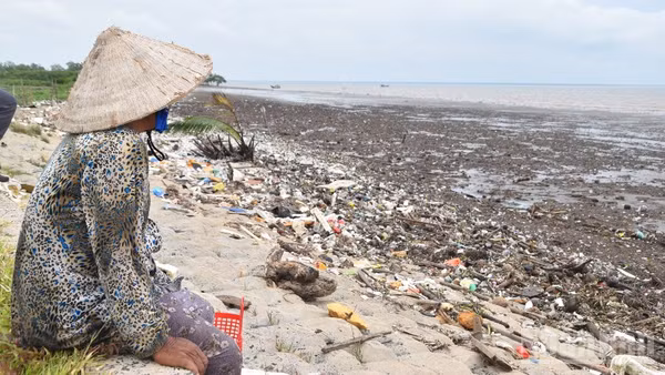 Nhiều khu vực ở đê biển Gò Công (tỉnh Đồng Tháp) bị sạt lở và cần đầu tư khẩn cấp.
