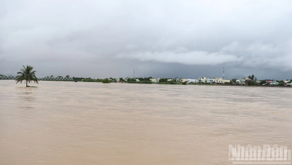 Lũ lớn khiến nhiều vùng ở Quảng Ngãi bị ngập sâu.