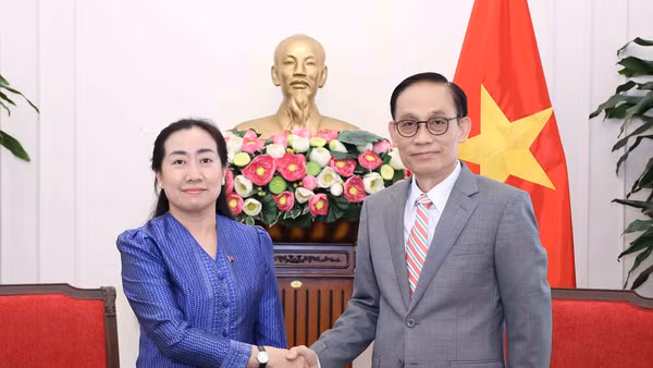 Bộ trưởng Ngoại giao Lê Hoài Trung tiếp bà Touch Sopharath, Đại sứ Campuchia tại Việt Nam. (Ảnh: An Đăng/TTXVN)