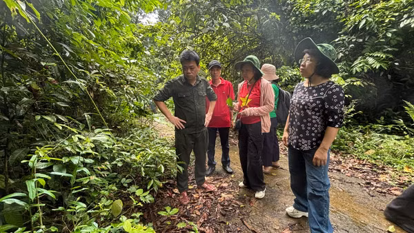 Lãnh đạo Viện Dược liệu, Trung tâm Tài nguyên Dược liệu, Trung tâm Dược liệu Bắc Trung Bộ khảo sát tiềm năng dược liệu tại Vườn quốc gia Vũ Quang.