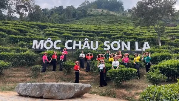 Trong dịp nghỉ lễ 30/4-1/5 năm 2026, các hoạt động du lịch tại khu du lịch Quốc gia Mộc Châu được tổ chức sôi động, đa dạng.