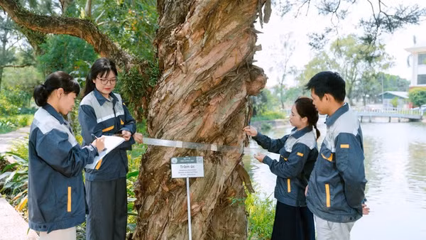 Các nhà khoa học Trung tâm nghiên cứu Gen và Giống dược liệu quốc gia đo các chỉ số bảo tồn cây dược liệu.