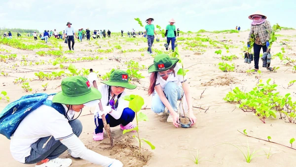 Khách du lịch trồng cây tại khu vực ven biển xã Thạnh Phong (huyện Thạnh Phú, tỉnh Bến Tre).