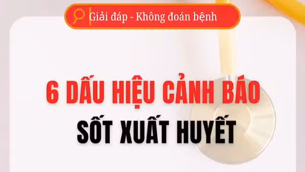 [Video] 6 dấu hiệu cảnh báo sốt xuất huyết