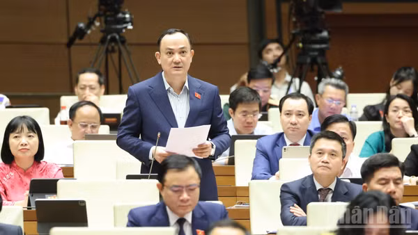 Đại biểu Nguyễn Ngọc Sơn (Đoàn ĐBQH TP Hải Phòng) phát biểu trong phiên thảo luận ở hội trường về tình hình kinh tế-xã hội chiều 20/4. (Ảnh: DUY LINH)