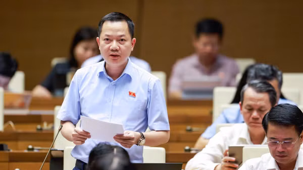 Đại biểu Quốc hội: Quản lý mật độ chăn nuôi gắn với sức chịu tải thực tế