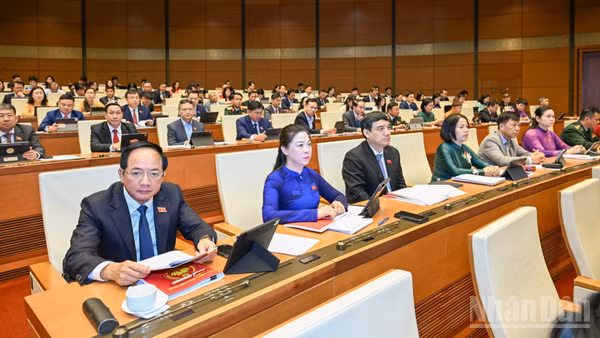 Sửa Luật Hải quan: Cải cách thủ tục hải quan, thúc đẩy sự tuân thủ tự nguyện