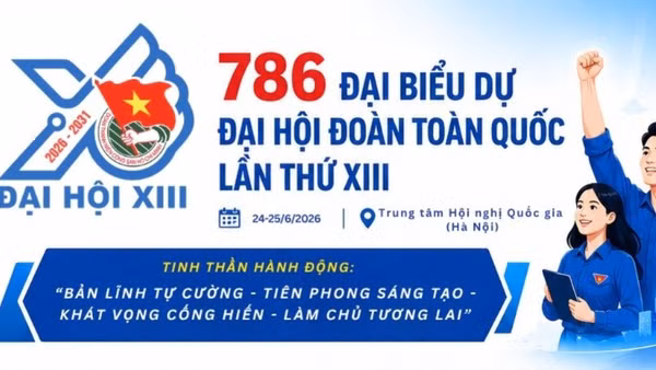 [Infographic] 786 đại biểu dự Đại hội Đoàn toàn quốc lần thứ XIII