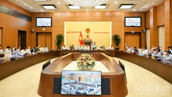 Các thành viên Ủy ban Thường vụ Quốc hội biểu quyết tại phiên họp. (Ảnh: DUY LINH)