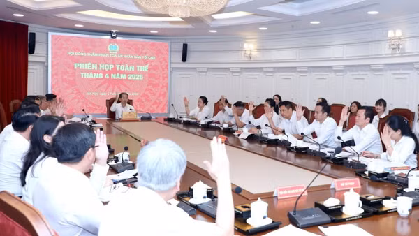 Các thành viên Hội đồng Thẩm phán Tòa án nhân dân tối cao giơ tay biểu quyết các dự thảo.