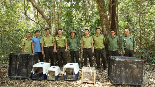 Lực lượng chức năng tổ chức đi thả 6 cá thể động vật hoang dã về với tự nhiên tại Vườn quốc gia Chư Yang Sin.