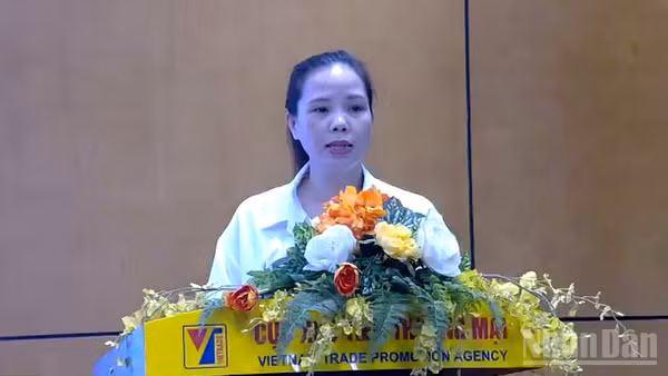 Phó Giám đốc Trung tâm Hỗ trợ xúc tiến thương mại và đầu tư.