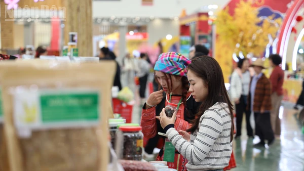 Mùng 4 Tết Bính Ngọ 2026: Kênh bán lẻ mở cửa đồng loạt, cung dồi dào, giá ổn định.