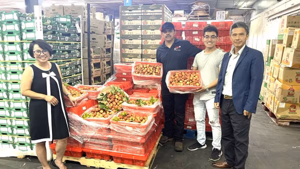 Hiện vải thiều cùng nhiều loại trái cây tươi của Việt Nam đang được phân phối tại các siêu thị và chợ châu Á lớn ở Houston (bang Texas) cũng như tại một số bang khác của Hoa Kỳ.