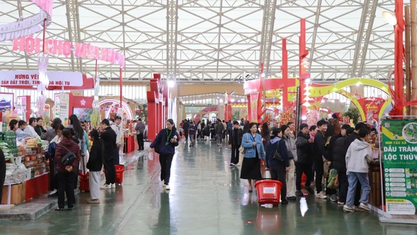 Chủ nhật sôi động tại Hội chợ Mùa Xuân: Người dân nô nức sắm Tết.