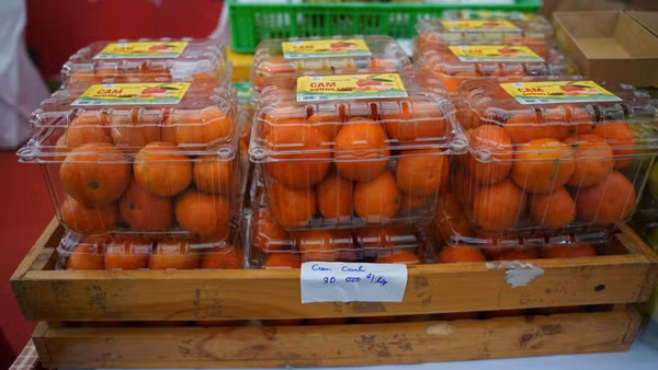 Quy định nhằm tăng cường khả năng kiểm soát nguồn gốc hàng hóa, bảo vệ quyền lợi người tiêu dùng. (Ảnh minh họa: KIM DUNG)