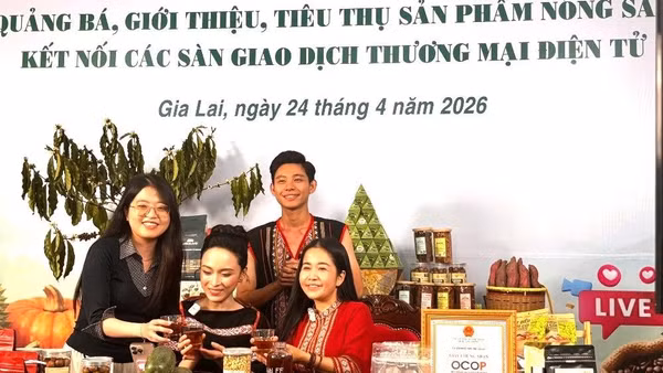 Chương trình Livestream quảng bá, giới thiệu, tiêu thụ sản phẩm nông sản tại Ủy ban nhân dân phường Hội Phú, Gia Lai.