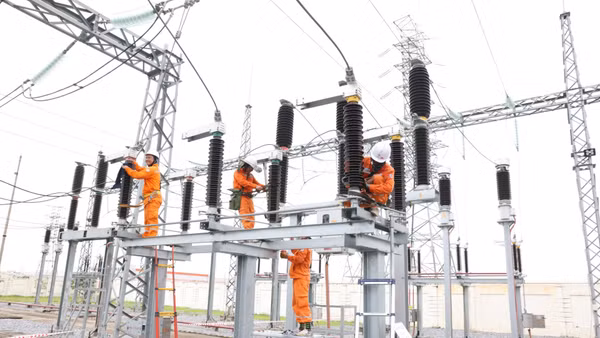 Đảng bộ lãnh đạo toàn diện hoạt động của Tổng công ty, trực tiếp thực hiện nhiệm vụ bảo đảm cung ứng điện an toàn, ổn định cho hơn 11 triệu khách hàng trên địa bàn 17 tỉnh, thành phố miền bắc. 