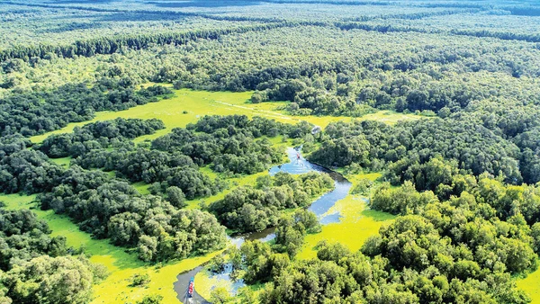 Mênh mang rừng tràm Trà Sư.