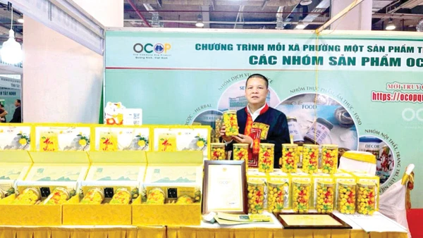 Ông Nịnh Văn Trắng giới thiệu sản phẩm trà hoa vàng.