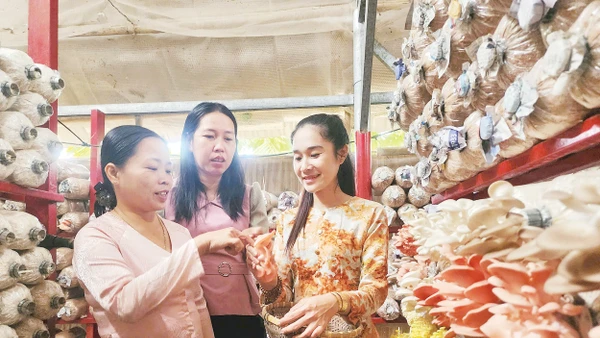 Cán bộ Hội Liên hiệp Phụ nữ tỉnh Vĩnh Long đến thăm mô hình trồng nấm của chị Ánh Xuân (ngoài cùng bên phải).