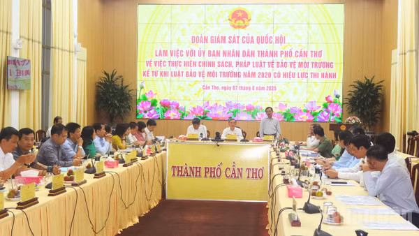 Quang cảnh buổi làm việc.