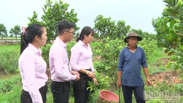 Xã Đăk Kôi Thu Hút Đầu Tư Phát Triển Du Lịch Cộng Đồng Cán Bộ Phòng Giao Dịch Ngân Hàng Chính Sách Xã Hội Thăm Mô Hình Hộ Vay Vốn Đầu Tư Sản Xuất Nông Nghiệp.