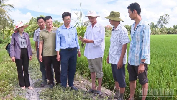 Khoa học và công nghệ giúp nâng cao năng suất, hướng đến nền nông nghiệp xanh và thích ứng với khí hậu.