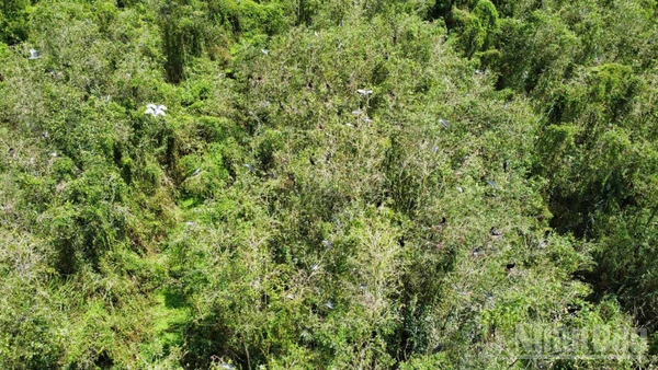 Khu du lịch sinh thái Mùa Xuân nhìn từ trên cao, với không gian xanh rộng lớn và hoang sơ.