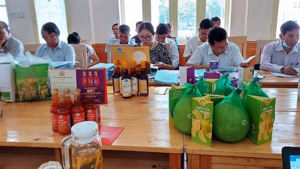 Các sản phẩm OCOP đều được đánh giá mức điểm 3 đến 4 sao.