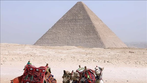 Ảnh minh họa: THX/TTXVN