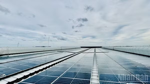 Phát triển và sử dụng hiệu quả các nguồn năng lượng góp phần thực hành tiết kiệm, chống lãng phí, hướng tới phát triển bền vững.