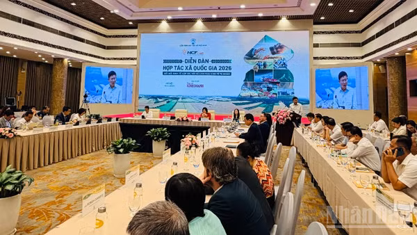 Toàn cảnh diễn đàn.