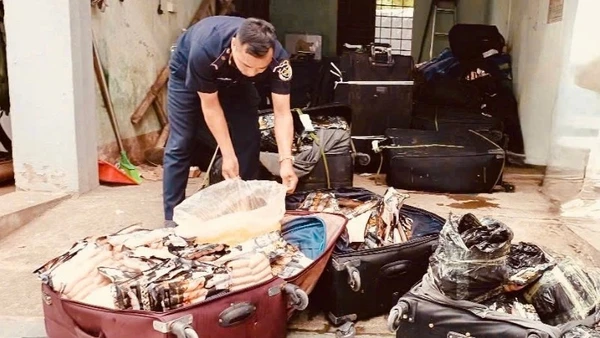 Qua công tác kiểm soát, lực lượng hải quan đã liên tiếp phát hiện, bắt giữ hơn 1,8 tấn thực phẩm đông lạnh nhập lậu, không rõ nguồn gốc xuất xứ.