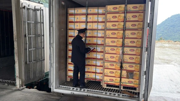 Cục Hải quan yêu cầu các Chi cục Hải quan khu vực trực 24/7, tập trung ưu tiên giải quyết nhanh thủ tục đối với các lô hàng thực phẩm nhập khẩu còn tồn đọng.