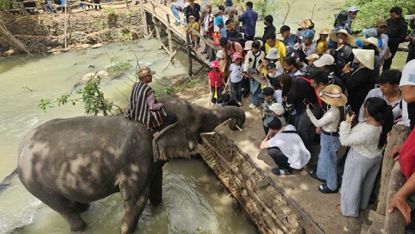 Đông đảo du khách đến tham quan, vui chơi tại Trung tâm du lịch cầu treo Buôn Đôn.