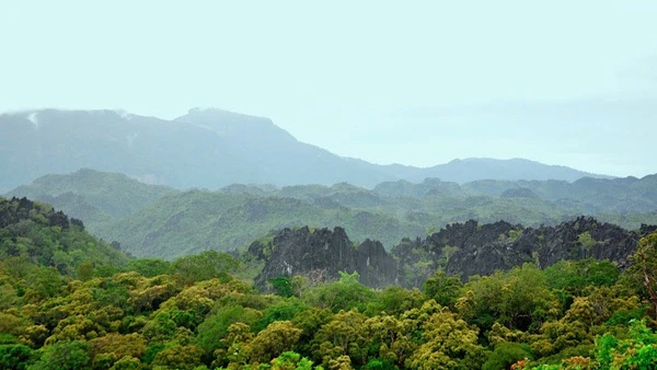 Còn nhiều khó khăn trong công tác quản lý, bảo vệ rừng.