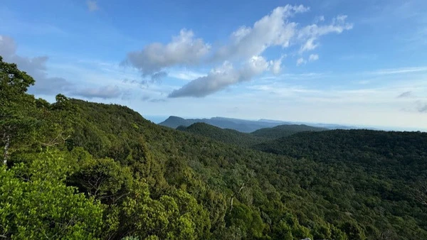 Cấp xã lần đầu được phê duyệt quản lý rừng bền vững.