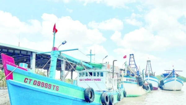 Tàu cá Cần Thơ tập kết tại Cảng cá Trần Đề.