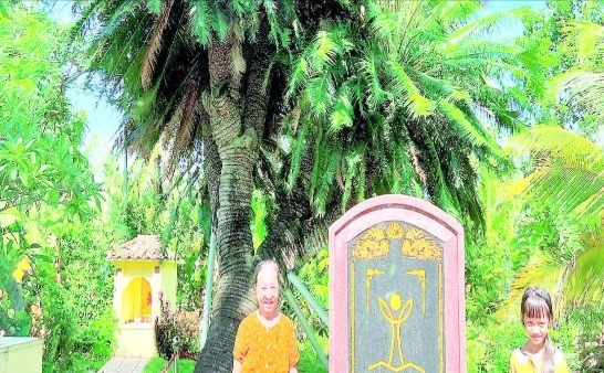 Cây thiên tuế tại đình Phú Nhuận (phường An Hội, tỉnh Vĩnh Long) được công nhận là cây di sản Việt Nam.