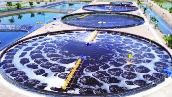 Mô hình nuôi tôm công nghệ cao tại Bạc Liêu (cũ).