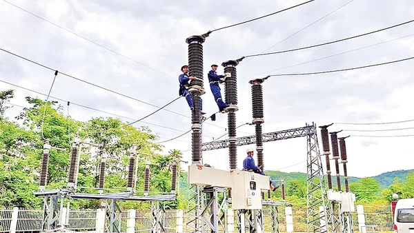 Dự án điện sinh khối giúp Cần Thơ hướng đến tăng trưởng xanh, bền vững. Ảnh: VNPD