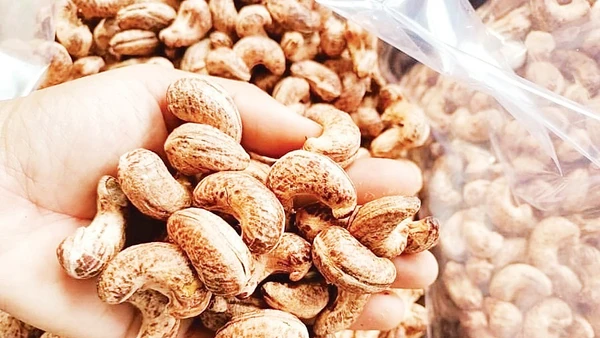 Hạt điều nay bảo đảm đầu ra ổn định.