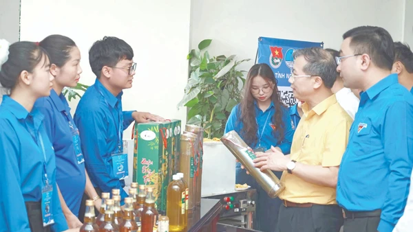Gian hàng trong cuộc thi “Ý tưởng, dự án khởi nghiệp trong thanh niên tỉnh Nghệ An” . Ảnh: Thanh Quỳnh