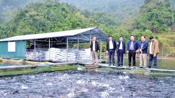 Cán bộ địa phương thăm, nắm bắt tình hình hoạt động của các hộ nuôi cá lồng trên hồ Na Hang.