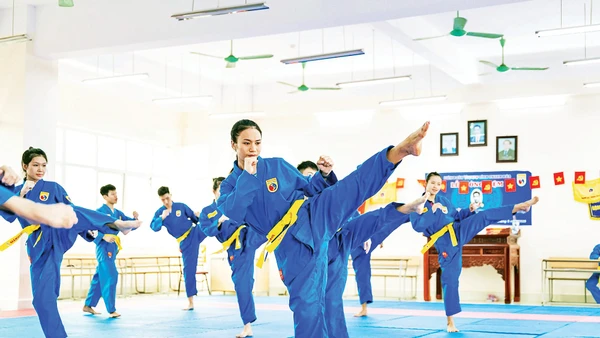 Các VĐV đội tuyển Vovinam tập luyện tại Trung tâm Huấn luyện và Thi đấu TDTT tỉnh. Ảnh: B.TH
