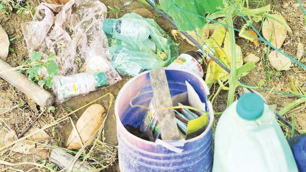 Các loại vỏ thuốc bảo vệ thực vật vứt tại vườn. Ảnh: Nam Anh